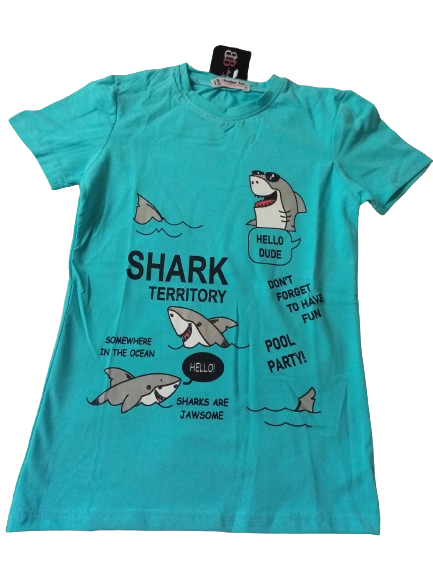 طقم صيفي أولادي - الصورة 3