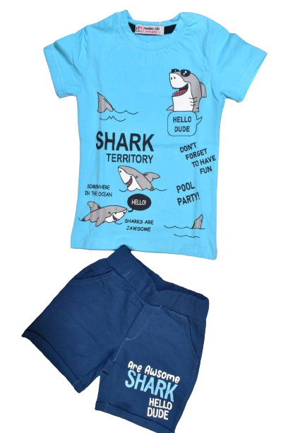 طقم صيفي أولادي - الصورة 6